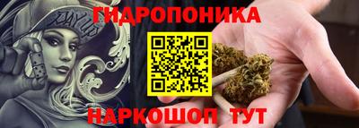 прущие грибы Можайск